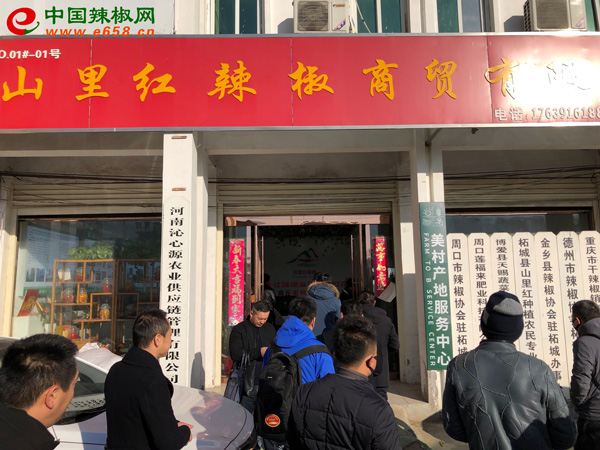 圖片7