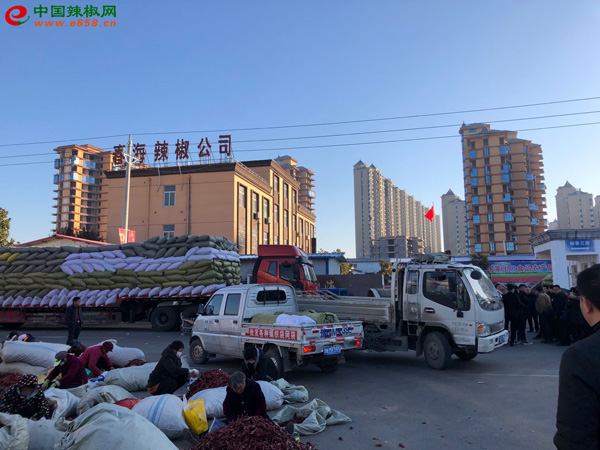 圖片8