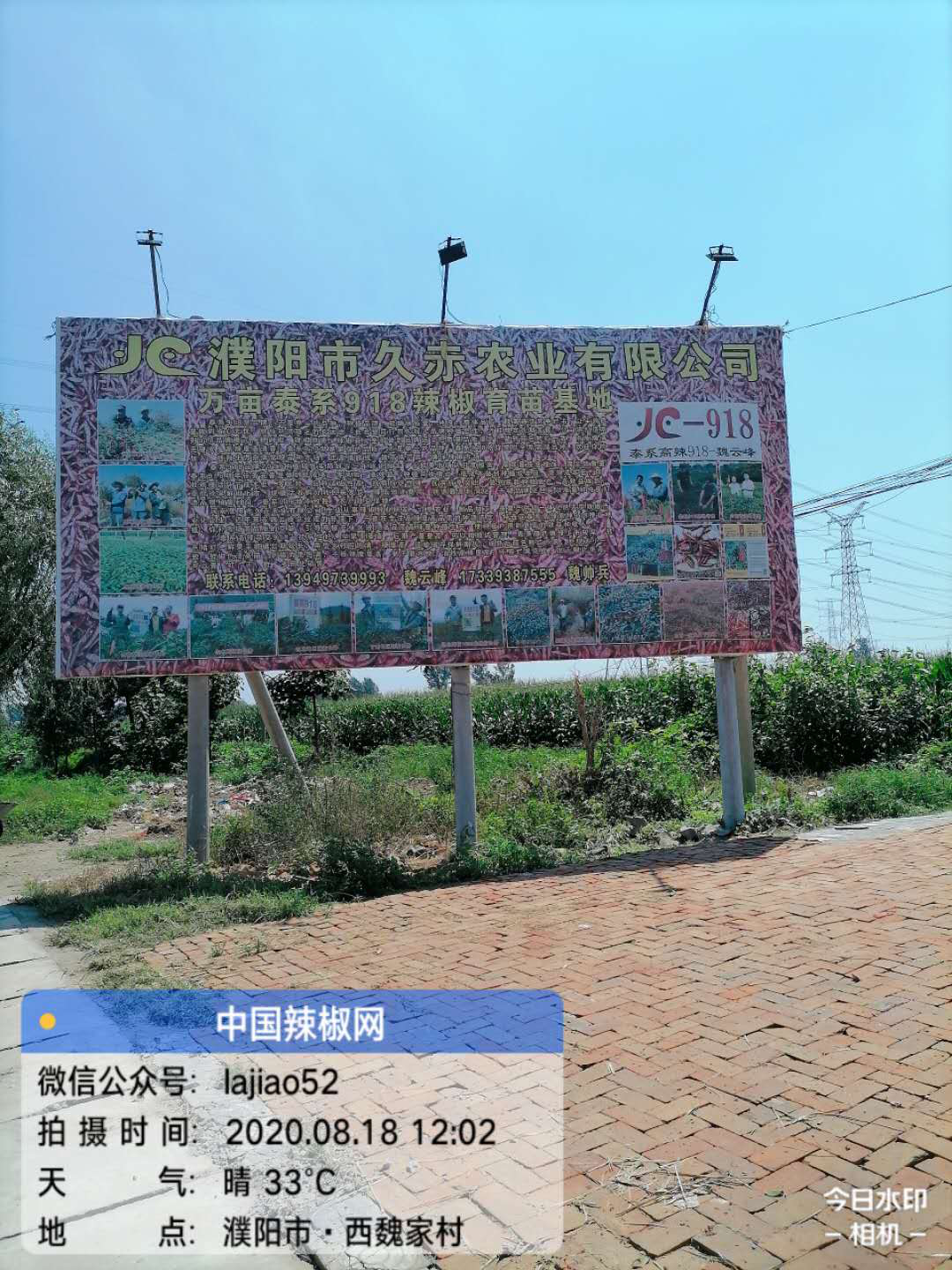 圖片7