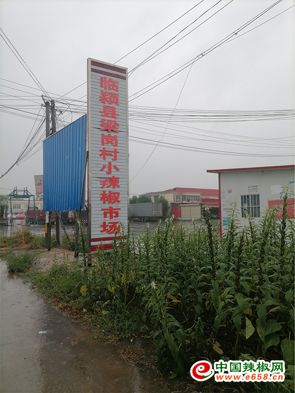 圖片1