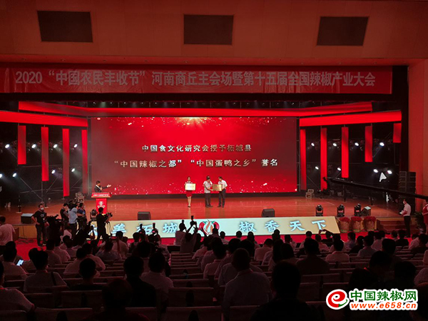 圖片3