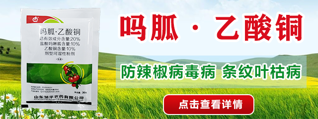 嗎胍乙酸銅