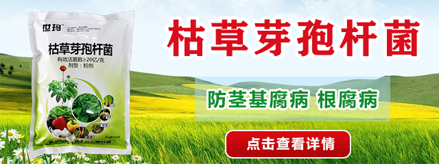 枯草芽孢桿菌