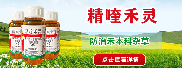 精喹禾靈