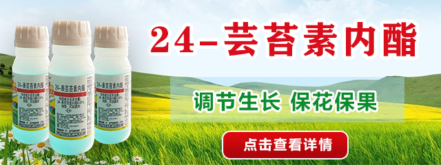 蕓苔素內酯