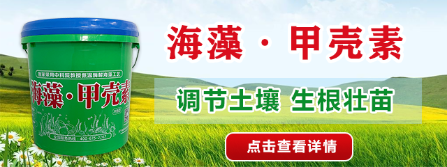 沖施