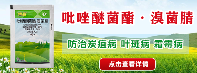 吡唑醚菌酯(袋裝)