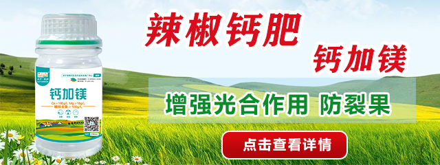 鈣加鎂