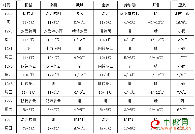圖片8