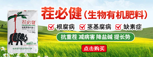 茬必健公號圖片